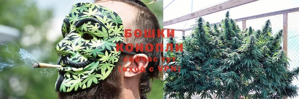 индика Орск