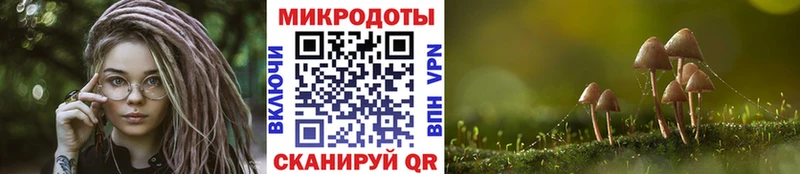 Галлюциногенные грибы ЛСД Мещовск